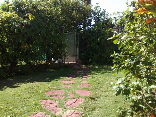 'Entrance by the back of the house' Casas particulares are an alternative to hotels in Cuba.